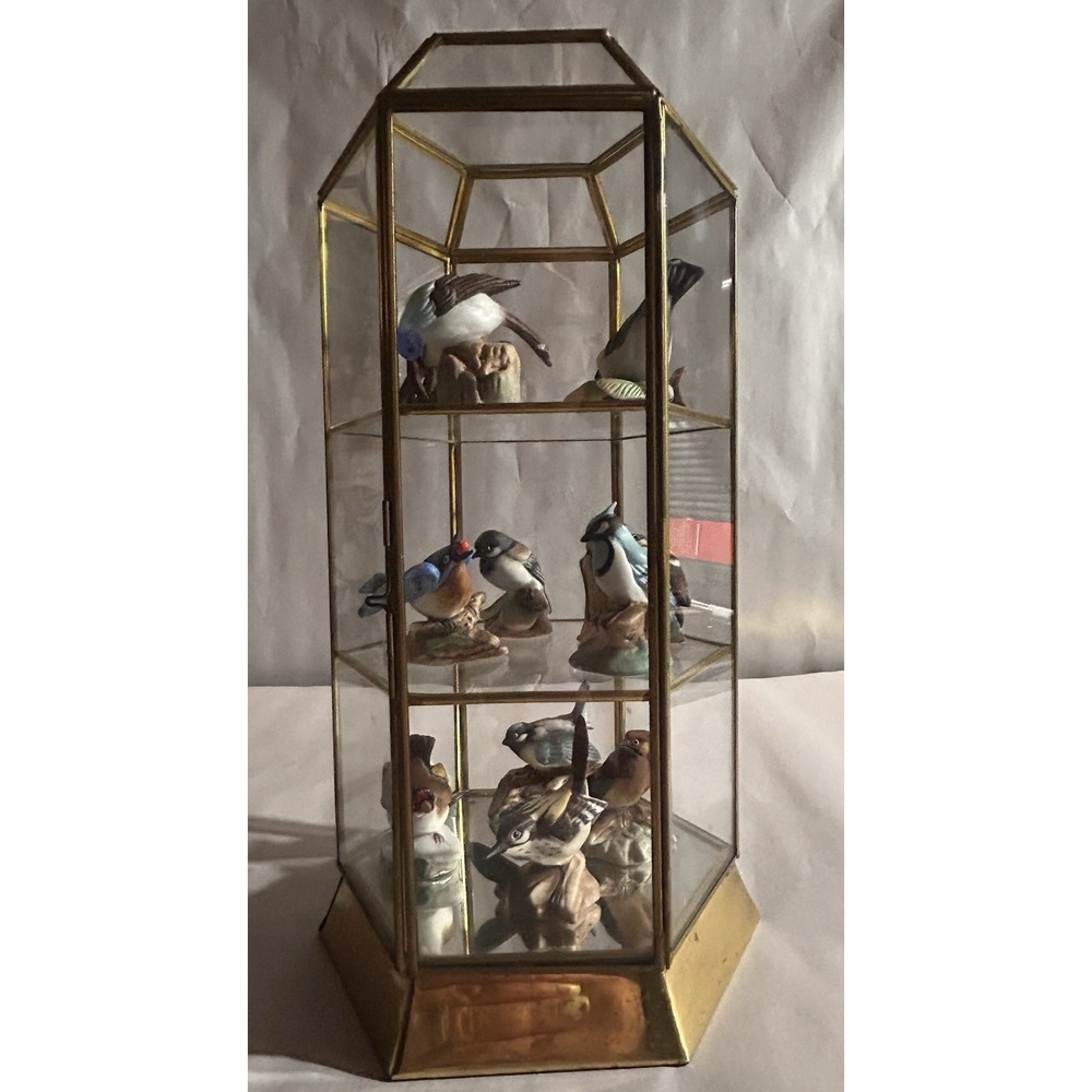 Vintage Hexagonal Brass Glass Display Case With 11 Ceramic F.P. Korea Birds
